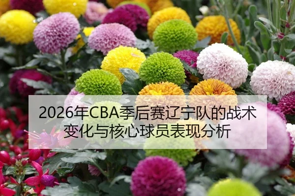 2026年CBA季后赛辽宁队的战术变化与核心球员表现分析