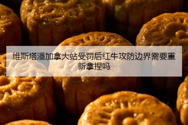 维斯塔潘加拿大站受罚后红牛攻防边界需要重新拿捏吗